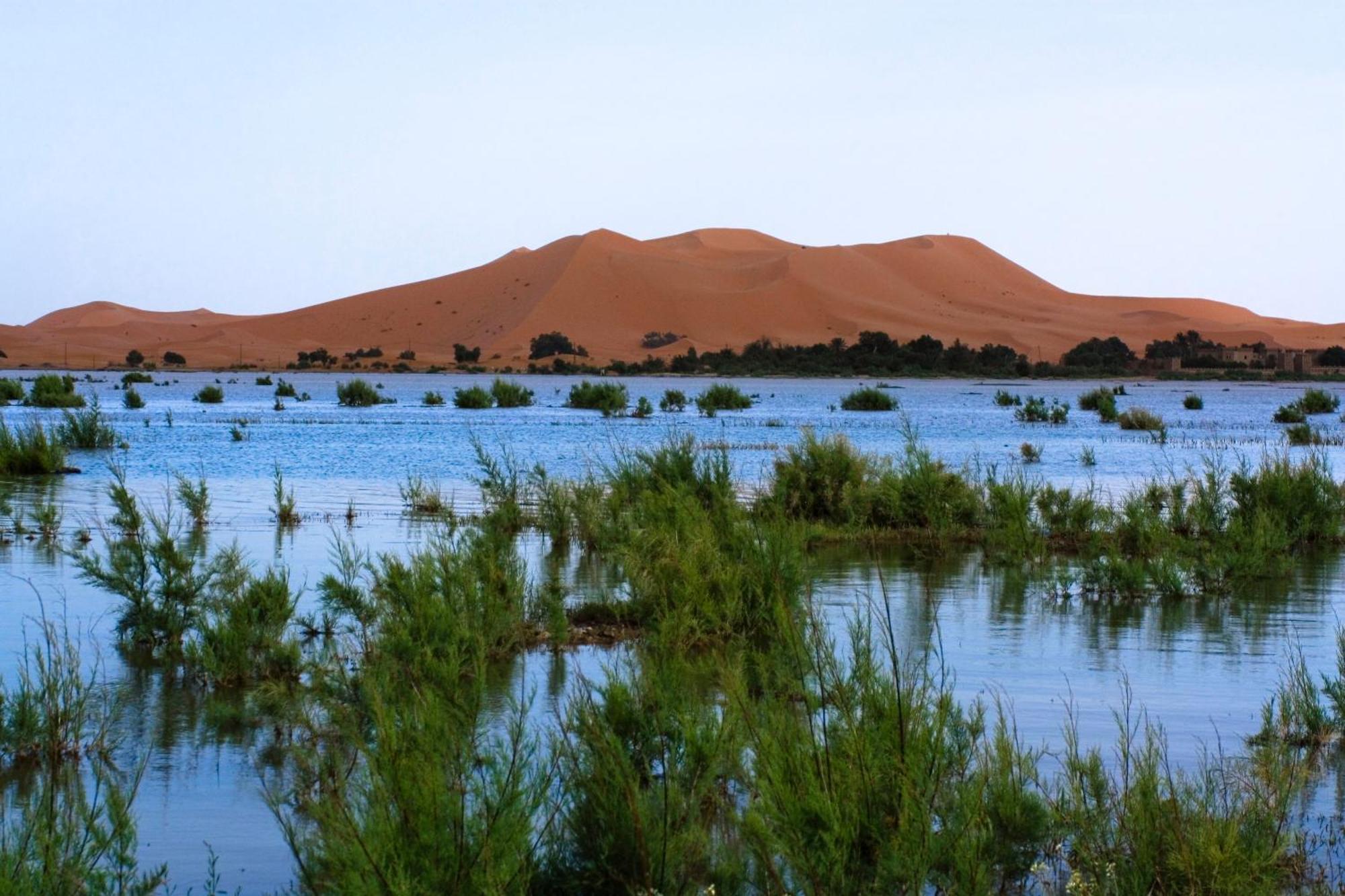 Auberge De Charme Les Dunes D'Or Merzouga Esterno foto